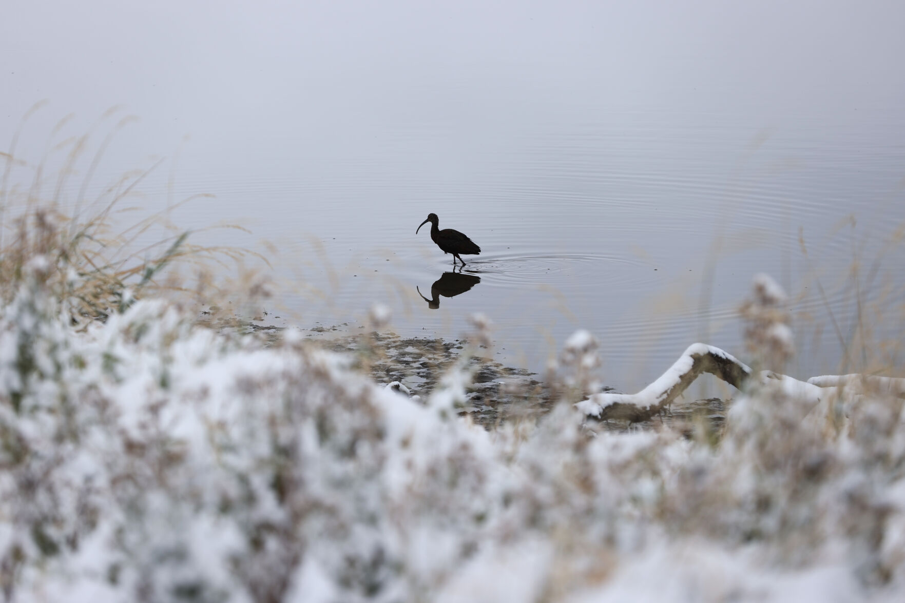 091020-news-snow 16.jpg